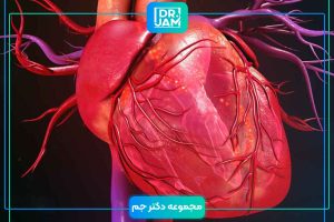 Heart cardiomyopathy