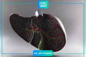 liver fatty acid garde 2