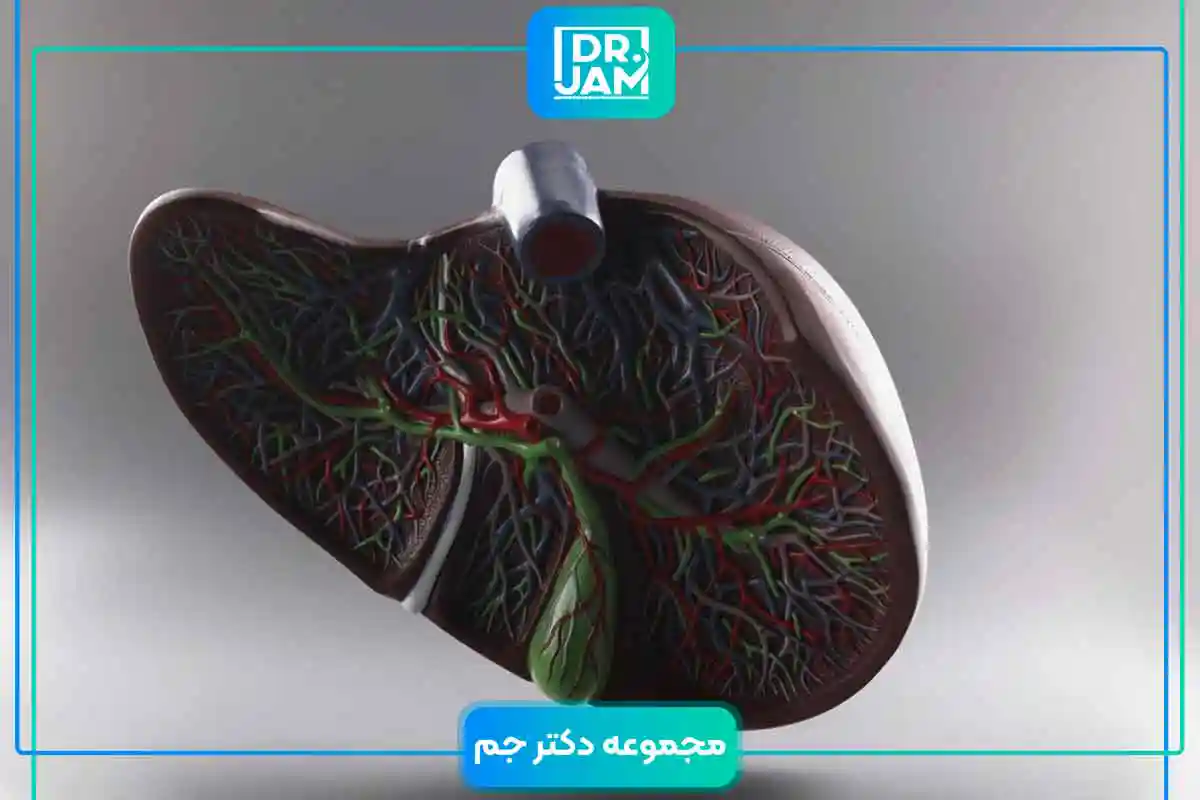 liver fatty acid garde 2